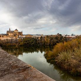 Am Fluss in Córdoba von Leticia Spruyt