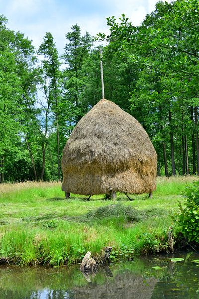 Strohhaufen im Spreewald 7.0 von Ingo Laue