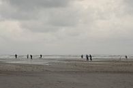 Storm op het strand van Terschelling von Berthilde van der Leij Miniaturansicht