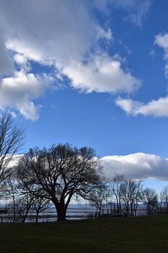 Un parc en bordure du fleuve au printemps sur Claude Laprise