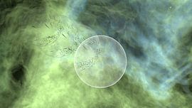 Spheres by Martijn van der Hoeven