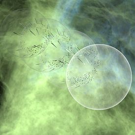 Sphères sur Martijn van der Hoeven