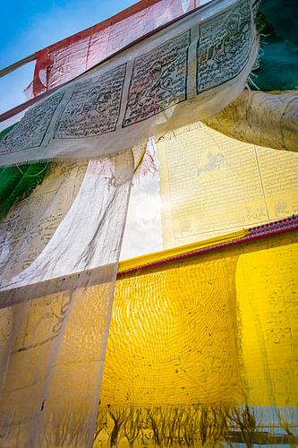 Zonlicht achter gebedsvlaggen, Tibet