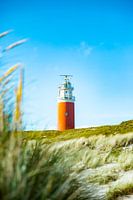 Leuchtturm von Texel in De Cocksdorp