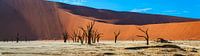 Panoramafoto van de Deadvlei, Namibië van Rietje Bulthuis thumbnail