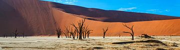 Panoramafoto van de Deadvlei, Namibië van Rietje Bulthuis