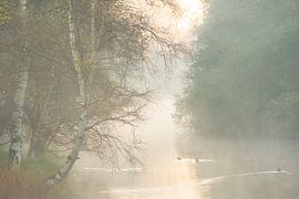 Sunrise with fog Amsterdam Water Supply Dunes by Margreet Riedstra