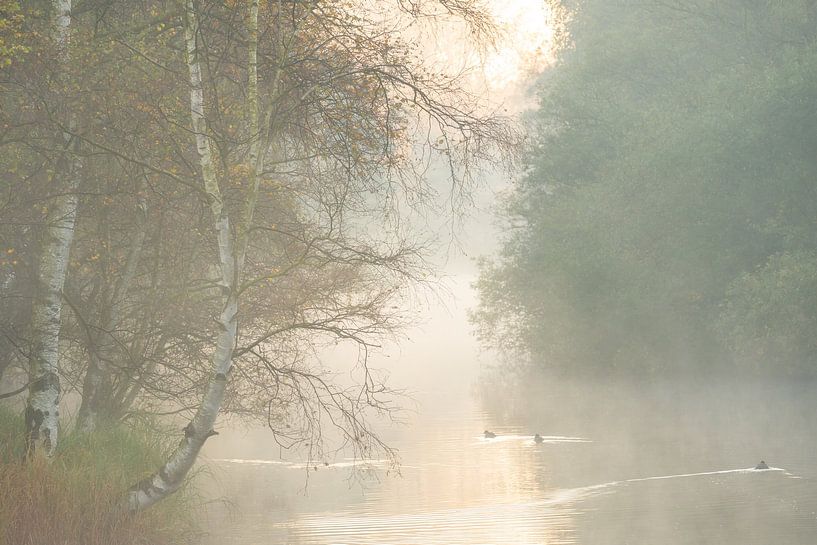 Lever de soleil avec brouillard Dunes d'approvisionnement en eau d'Amsterdam par Margreet Riedstra