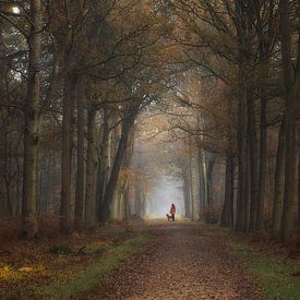 Promenade du chien sur Jos Erkamp