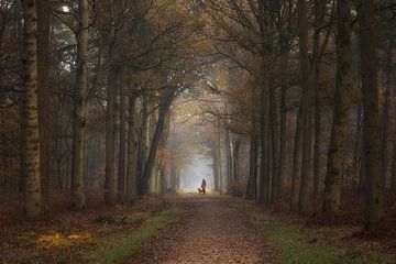 Walking the dog by Jos Erkamp