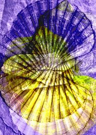 Maritieme texturen in paars en geel