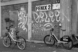 Fons 44 by Fons Hayes