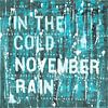 November Rain by Feike Kloostra