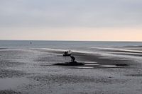 Silhouette of lone figure working in the sand at low tide