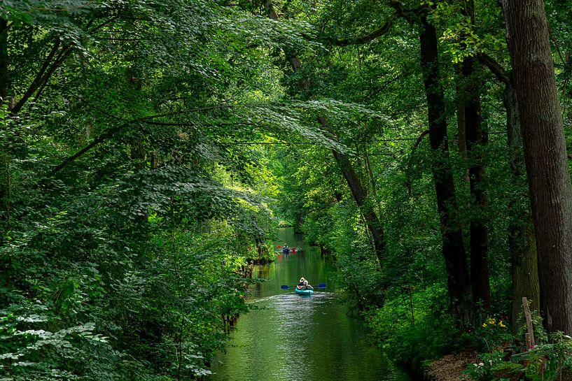 Kajak auf einem Kanal im Spreewald von Tilo Grellmann