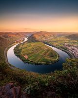 Mosel im Sommer