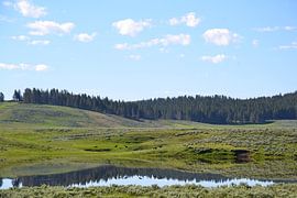 Yellowstone by Wessel Smit