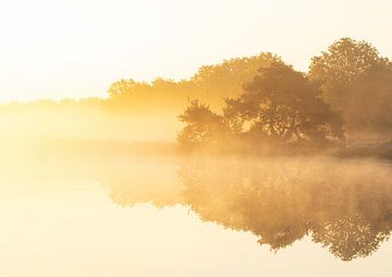 Zonsopkomst Terhorsterzand (Nederland) van Marcel Kerdijk