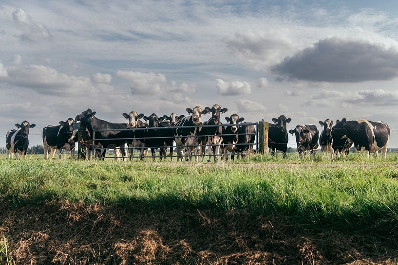 The spectators by Raaf