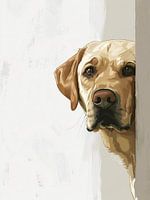 Labrador Retriever