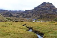 Cajas National Park, Ecuador
