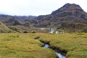 Cajas National Park, Ecuador
