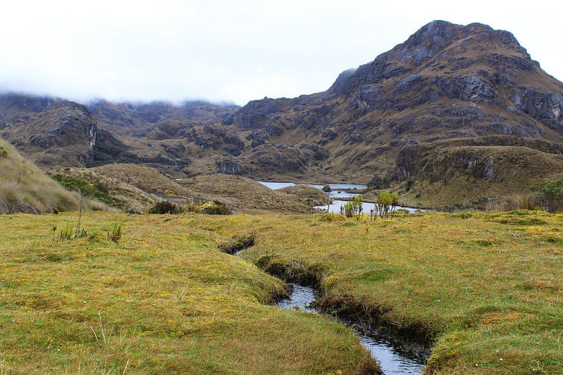Cajas National Park, Ecuador van Tom Hengst