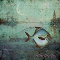 Not my day - Nicht mein Tag.. sagt der Fisch