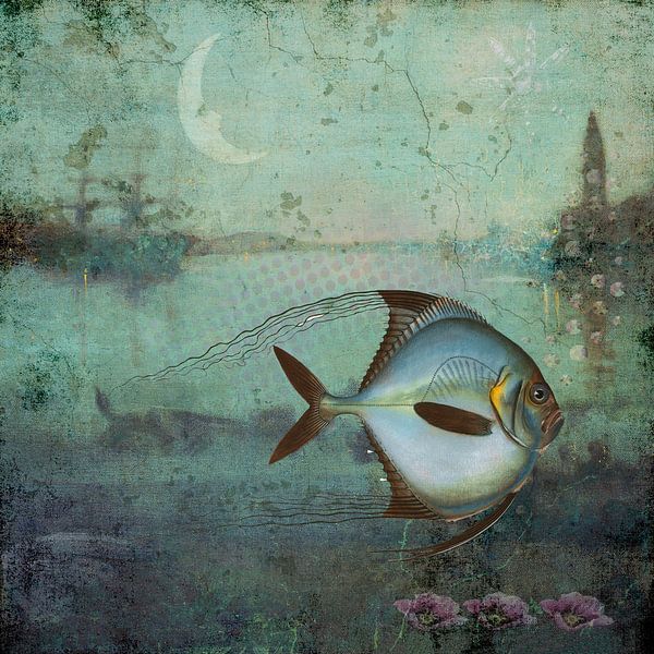 Not my day - says the fish by ahafineartimages