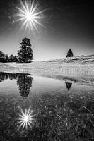 Sunstar with mirroring