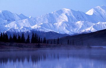 Alaska, Denali-Nationalpark von Paul van Gaalen, natuurfotograaf