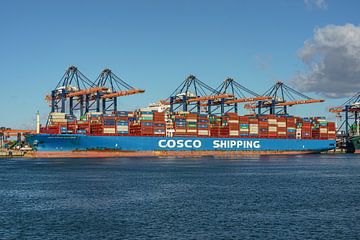 Cosco Shipping Sagittarius container ship. by Jaap van den Berg