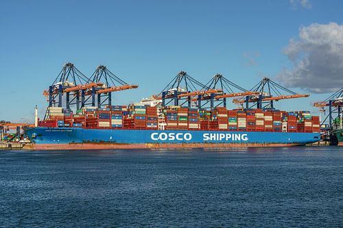Cosco Shipping Sagittarius containerschip.