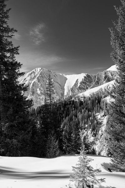 Serene winter landscape by Framed by Marjolein