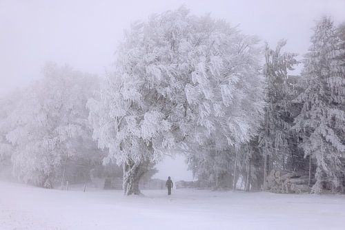 Winter auf dem Schauinsland von Patrick Lohmüller