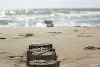 posts