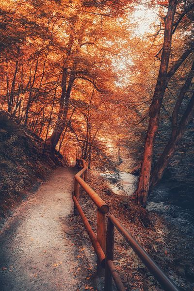 Kirnitzsch valley between rocks and sandstones by Jakob Baranowski - Photography - Video - Photoshop
