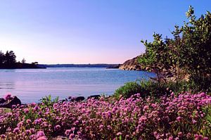 Abend in einer Bucht in der Nähe der finnischen Inseln im Sommer, Helsinki von Roger VDB