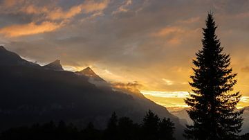 Zonsondergang Bernese Alpen