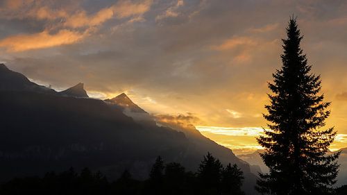 Zonsondergang Bernese Alpen