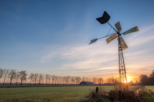 Windmolen in het weiland