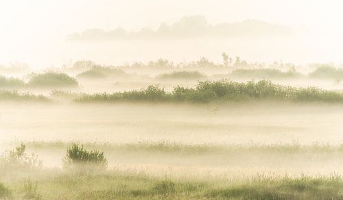 Nationaal Park de Oude Venen, Friesland