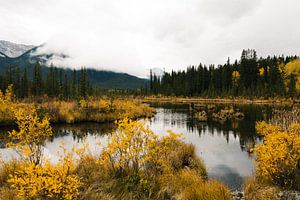 Herbst im Banff Nationalparkk