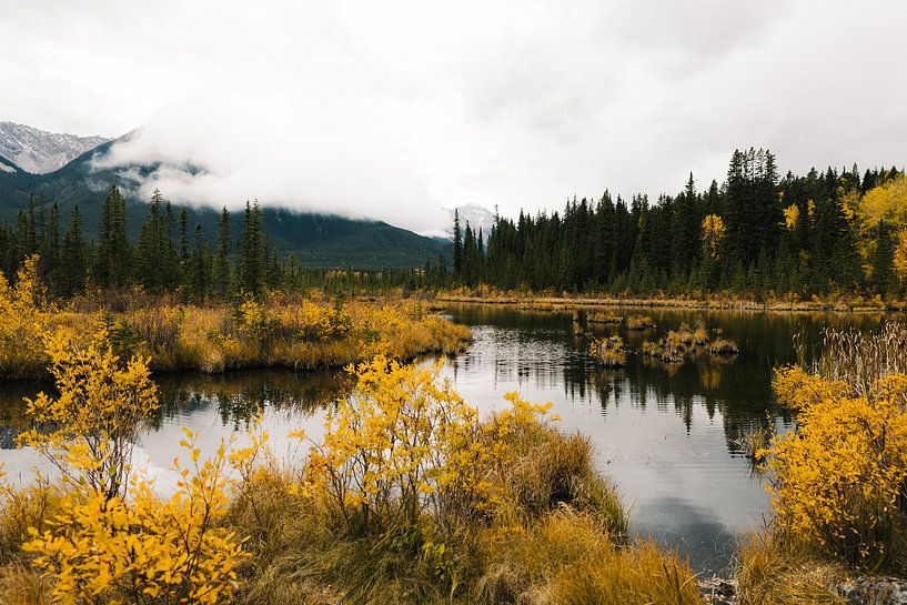 Herbst im Banff Nationalparkk von swc07