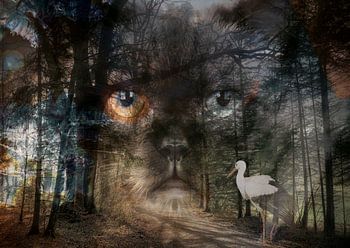 De vreemde ontmoeting