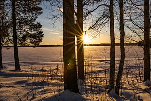 Ombres du soleil du soir