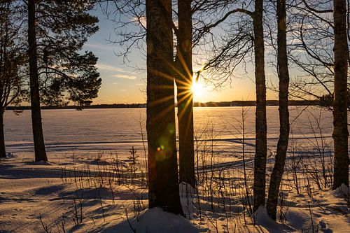 Ombres du soleil du soir sur Torfinn Johannessen
