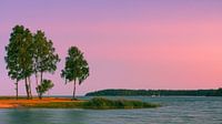 Sonnenuntergang Vänersee, Schweden von Henk Meijer Photography Miniaturansicht