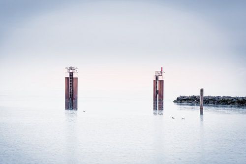 Aan het strand II - Havendolfijnen