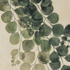 Ferns in Whispering by Thea